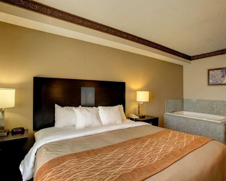 Hotel Comfort Inn & Suites (.)