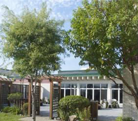 Travelodge Hotel Airlane