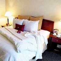 Toronto Don Valley Hotel And Suites