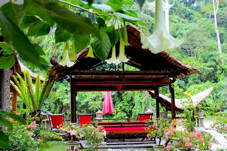 Bed & Breakfast Ecotravel Cottages Bukit Lawang