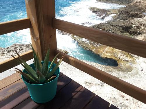 Apartamento Ocean Shore