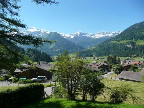 Apartment Am Br�ggli # 2