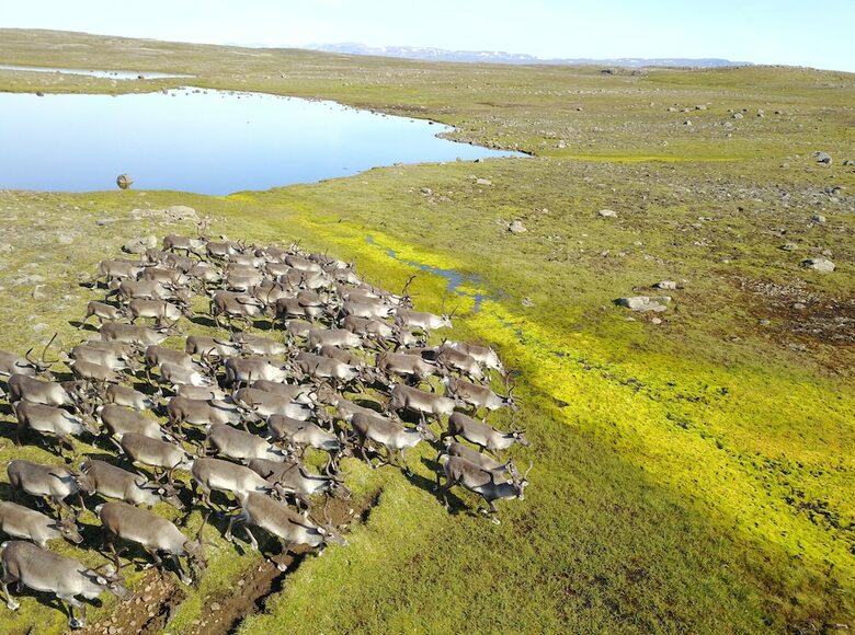 Agroturismo Lindarbrekka