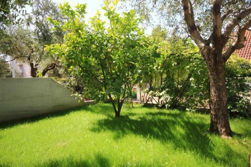 Hostal Apartment Zecevo Rtic 10307b