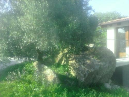Agroturismo Su Ponti Biancu