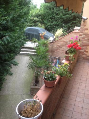 Relax A Badia Polesine