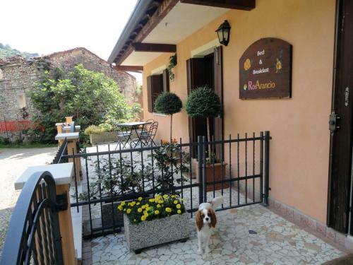 Bed & Breakfast Rosarancio