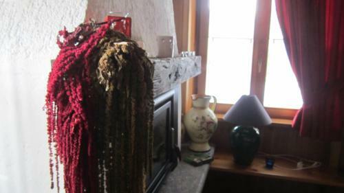 Apartamento Casa Martinelli - Trameri
