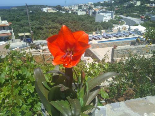 Kavousanos Apartments