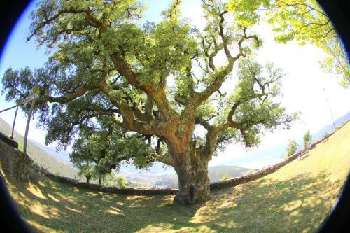 Albergue O Refuxio De La Jerezana