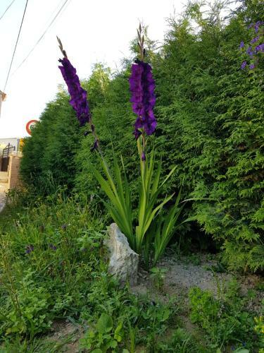 Albergue O Refuxio De La Jerezana
