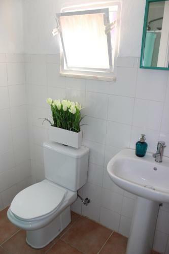 Albergue Pateo Estoril - Holiday Houses