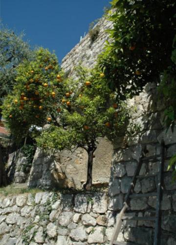 Bed & Breakfast Coste D'or