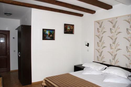 Hostal Pensiunea Viodor