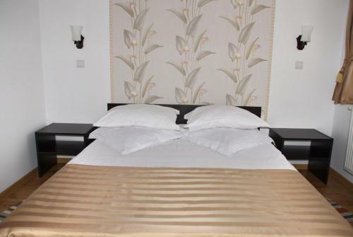 Hostal Pensiunea Viodor