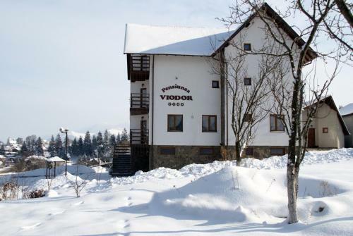 Hostal Pensiunea Viodor