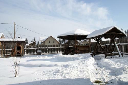Hostal Pensiunea Viodor