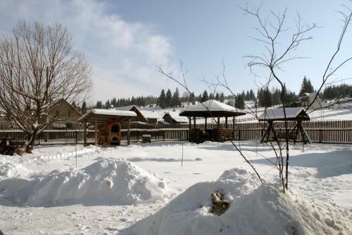 Hostal Pensiunea Viodor