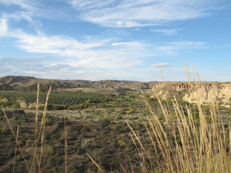 Agroturismo Cortijo Urr� Manor House, Sorbas
