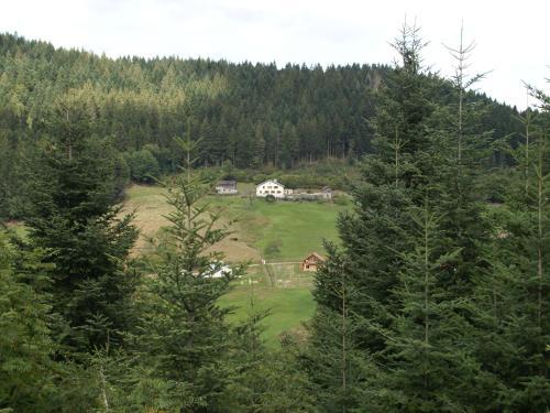 Chalet - Gerardmer