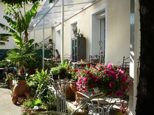 Hotel Victorine