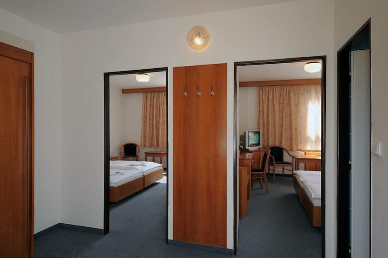 Congress And Sport Hotel Olsanka