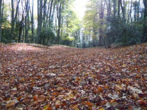Apartamento A Casa Di Lo'