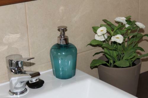 Agroturismo Casas De Mir�briga