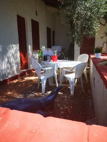 Camping B&B Gioiosa