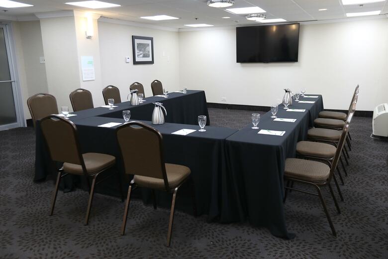 Hotel Holiday Inn Chicago O'hare Area