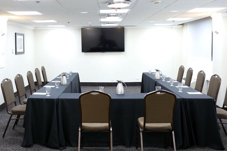 Hotel Holiday Inn Chicago O'hare Area