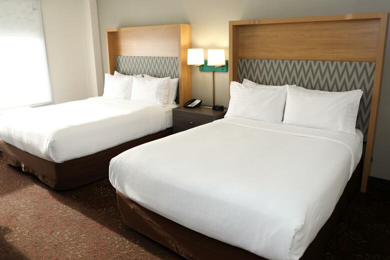 Hotel Holiday Inn Chicago O'hare Area