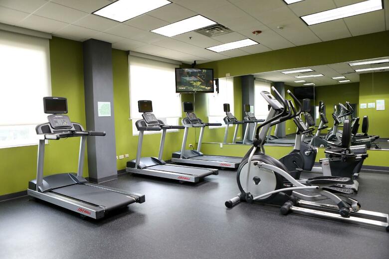 Hotel Holiday Inn Chicago O'hare Area