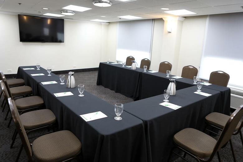 Hotel Holiday Inn Chicago O'hare Area