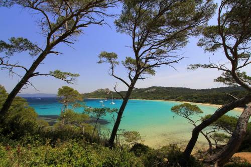 Hotel Le Mediterran�e