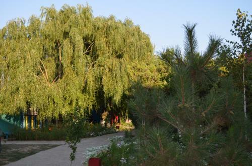 Hotel Gloriya Resort