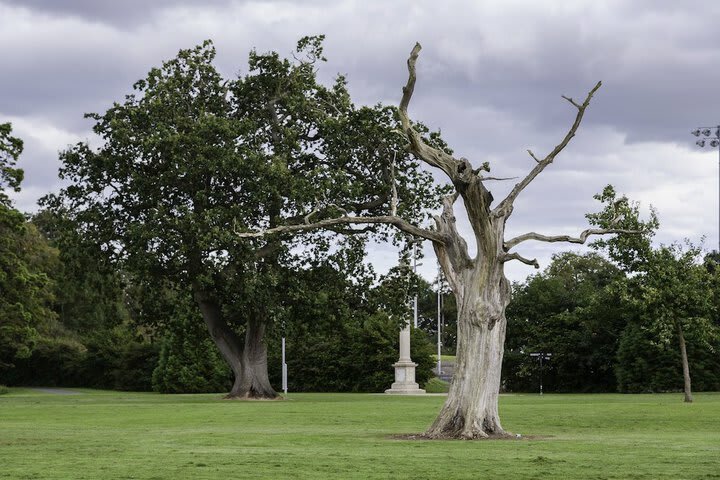Hotel Express By Holiday Inn Dublin Airport