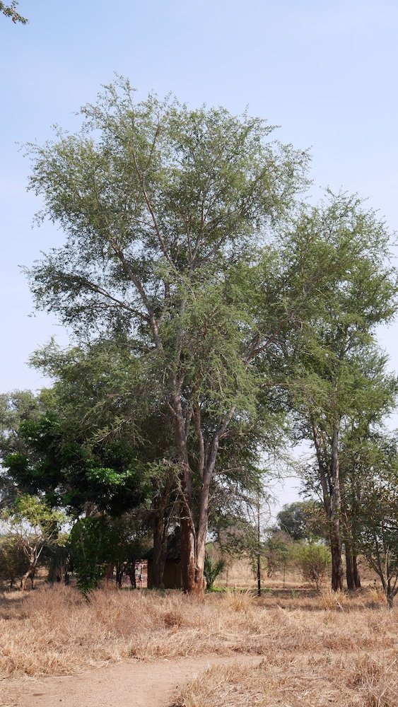 Munga Eco-lodge