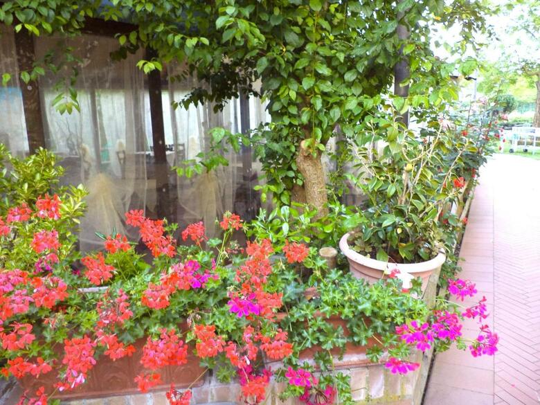 Hotel Il Molino Del Ponte
