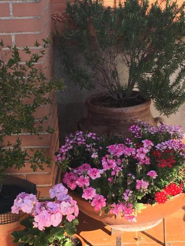 Bed & Breakfast Montalbano