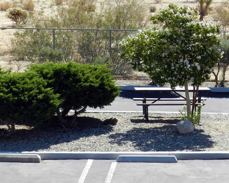 High Desert Motel Joshua Tree National Park