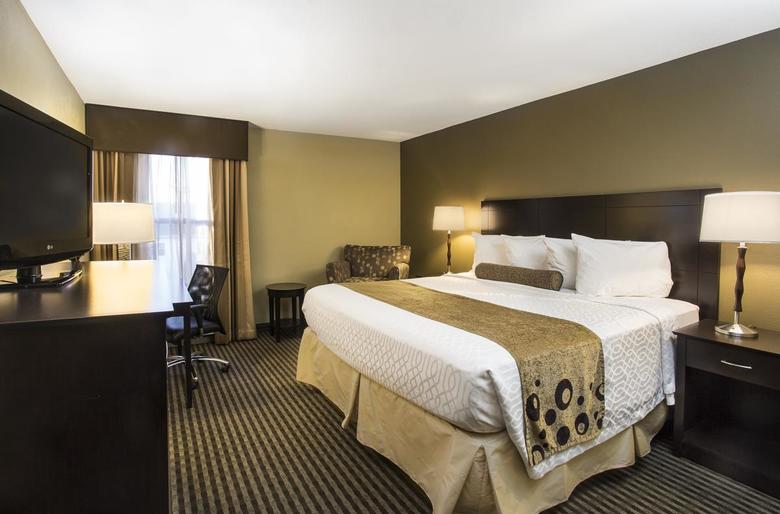 Hotel Best Western Plus Mishawaka Inn