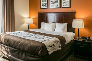 Hotel Sleep Inn & Suites Hwy 290/nw Freeway