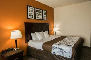 Hotel Sleep Inn & Suites Hwy 290/nw Freeway