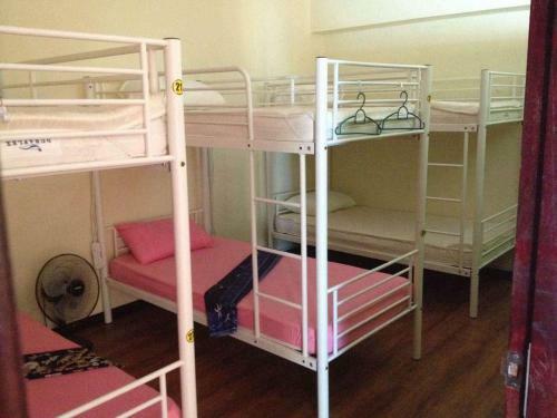 Best Bunk Beds
