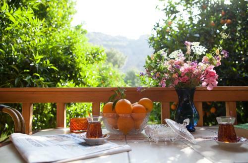 Bed & Breakfast Ekinoks Hotel - Adults Only