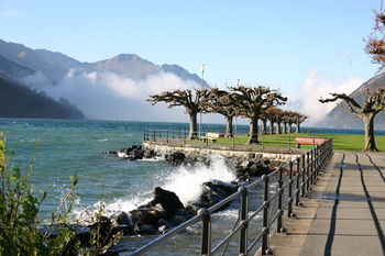 Seehotel Waldstaetterhof Swiss Quality