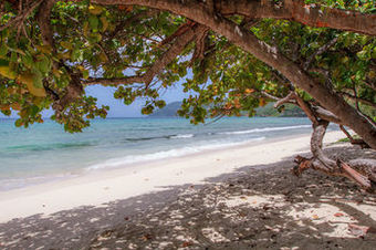 Hotel Sebastian's On The Beach