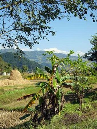Apartamento The Begnas Lake Resort & Villas