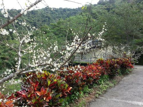 Hotel Yi-he Golden Homestay